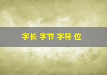 字长 字节 字符 位